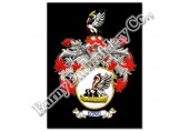 Coat of Arms Family Crests
